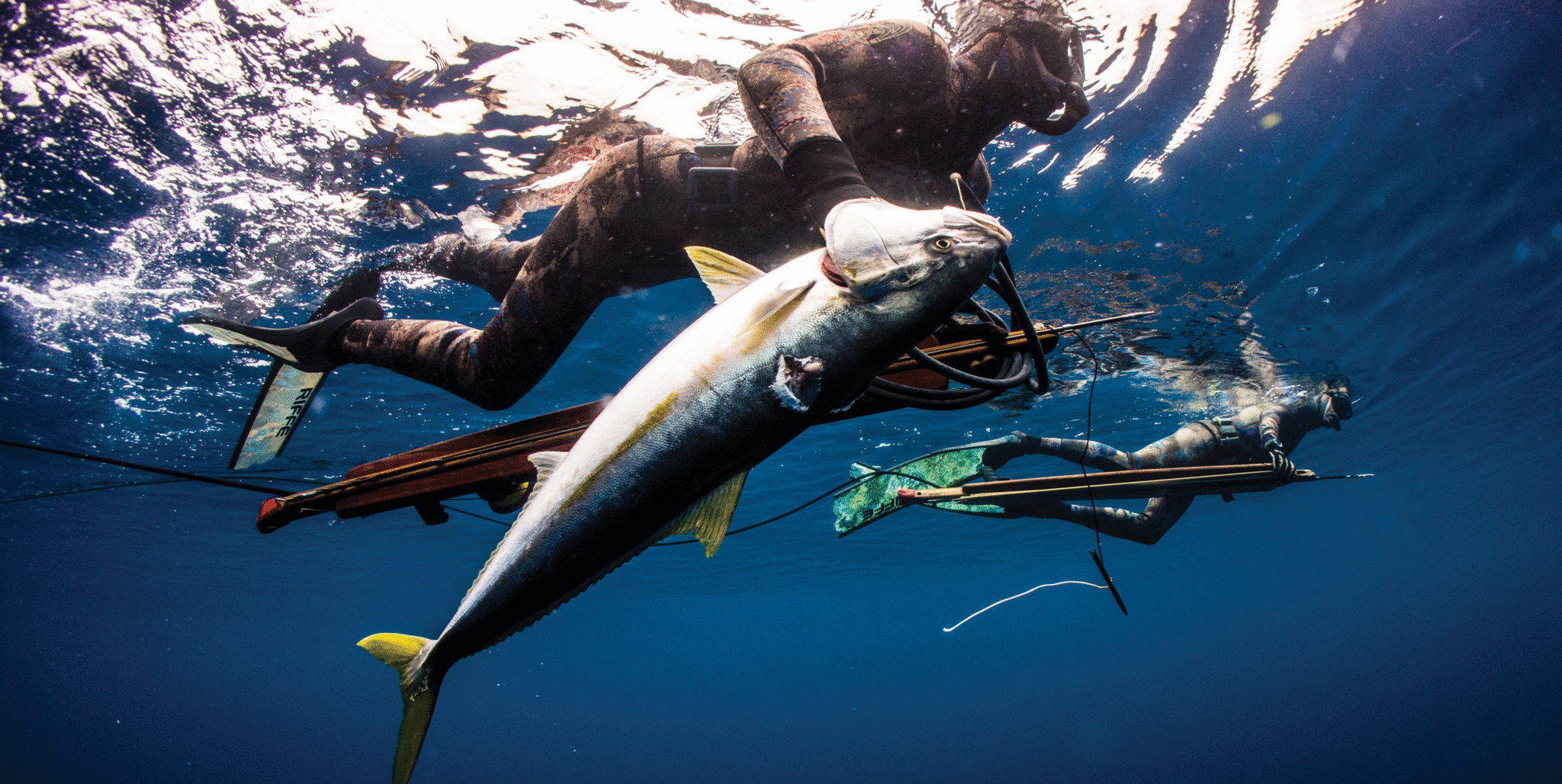 Buy spearfishing speargun with Online in Thailand at Low Prices at